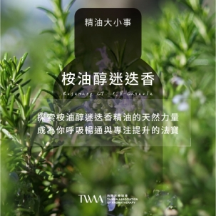 探索桉油醇迷迭香精油的天然力量，成為你呼吸暢通與專注提升的法寶！