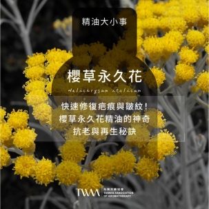 快速修復疤痕與皺紋！櫻草(頭狀)永久花精油的神奇抗老與再生秘訣