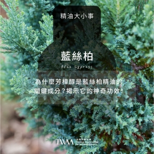 為什麼芳樟醇是藍絲柏精油的關鍵成分？揭示它的神奇功效！