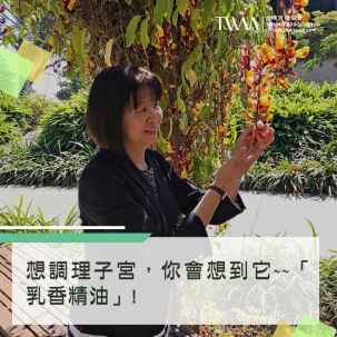 想調理子宮，你會想到它~~「乳香精油」! 而且在你心裡最脆弱時，它能幫你脫離羈絆、找到生活的信仰!?