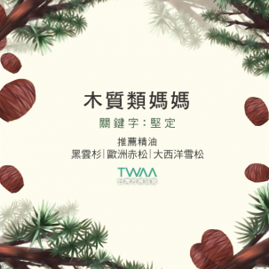 植物人格系列-木質型媽媽 植物人格系列-木質型媽媽