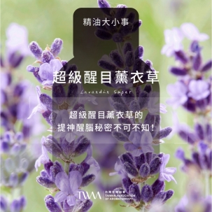 超級醒目薰衣草的提神醒腦秘密不可不知！