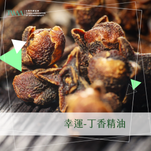 幸運-丁香精油 / 精油心情故事