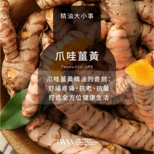 爪哇薑黃精油的奇效：舒緩疼痛，抗老、抗菌，打造全方位健康生活