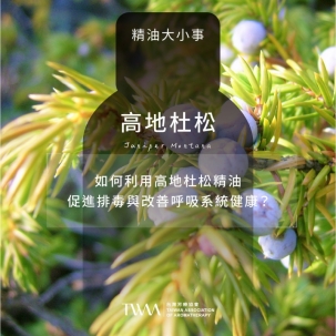如何利用高地杜松精油促進排毒與改善呼吸系統健康？