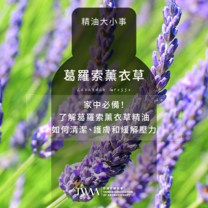 家中必備！了解葛羅索薰衣草精油如何清潔、護膚和緩解壓力