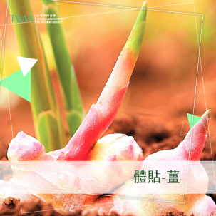 體貼-薑 / 精油心情故事