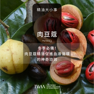 冬季必備！肉豆蔻精油促進血液循環的神奇功效