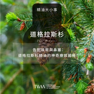 告別咳嗽與鼻塞：道格拉斯杉精油的神奇療效揭秘！