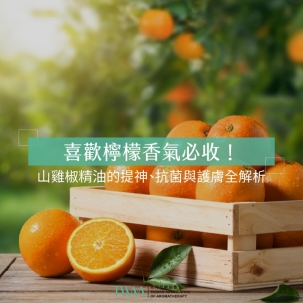 喜歡檸檬香氣必收！山雞椒精油的提神、抗菌與護膚全解析