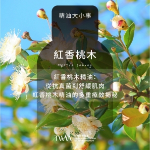 紅香桃木精油：從抗真菌到舒緩肌肉，紅香桃木精油的多重療效揭秘！