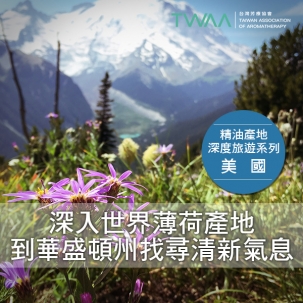 深入世界薄荷產地 到美國華盛頓州找尋清新氣息 深入世界薄荷產地 到美國華盛頓州找尋清新氣息