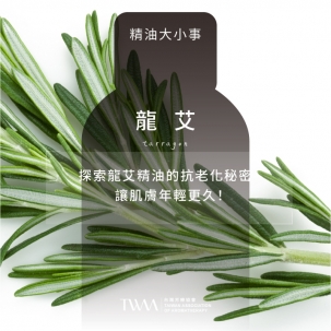探索龍艾精油的抗老化秘密，讓肌膚年輕更久！