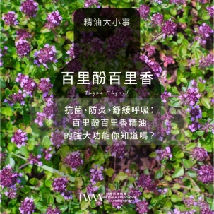 抗菌、防炎、舒緩呼吸：百里酚百里香精油的強大功能你知道嗎？