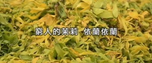窮人的茉莉 依蘭依蘭精油 窮人的茉莉 依蘭依蘭精油