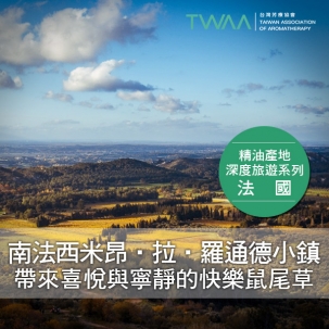 南法西米昂‧拉‧羅通德小鎮 帶來喜悅與寧靜的快樂鼠尾草 南法西米昂‧拉‧羅通德小鎮 帶來喜悅與寧靜的快樂鼠尾草