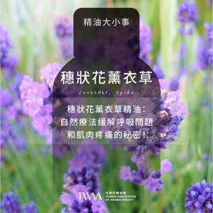 穗狀花薰衣草精油：自然療法緩解呼吸問題和肌肉疼痛的秘密！