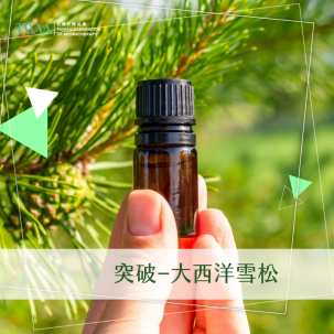 突破–大西洋雪松 / 精油心情故事