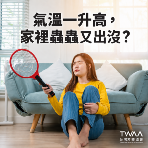 《2026/07/03 媒體報導》氣溫飆升，廚房角落總有黑影竄動？芳療專家傳授 5 款「隱形植物結界」，用純淨香氣優雅找回居家寧靜