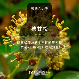 穗甘松精油的全方位療癒力量：抗菌、止痛、提升睡眠質量!