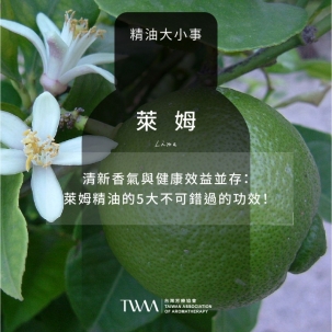 清新香氣與健康效益並存：萊姆精油的5大不可錯過的功效！