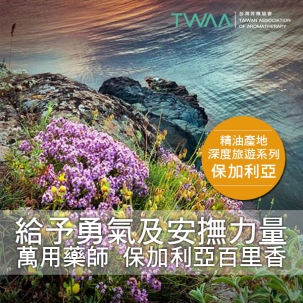給予勇氣及安撫力量的藥草 萬用藥師  保加利亞百里香 給予勇氣及安撫力量的藥草 萬用藥師  保加利亞百里香