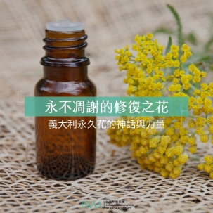 永不凋謝的修復之花：義大利永久花的神話與力量